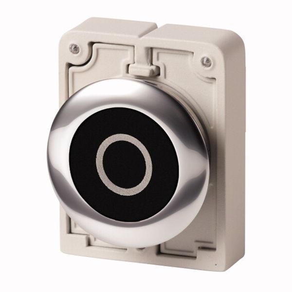 M30C-FDR-S-X0 Pushbutton, RMQ-Titan, Flat, maintained, black, inscribed, Metal bezel image 2