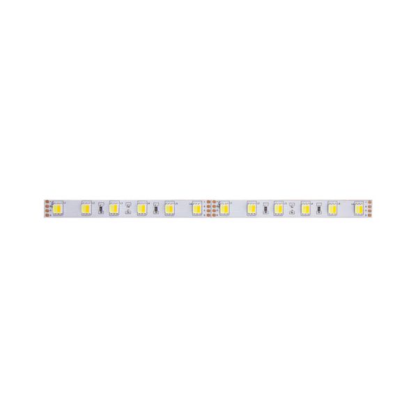 LED strip WW-CW 24V 14.4W 10mm IP20 - 5 image 1