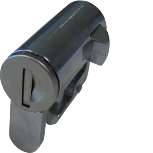 Frog with key paintings H>1150 image 2