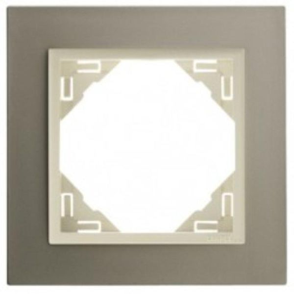 SINGLE FRAME TITANIUM/PEARL image 1