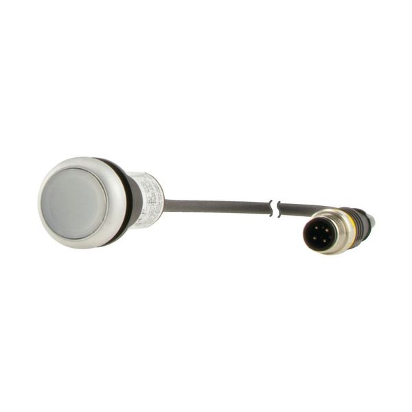 C22-DL-W-K10-24-P1 Illuminated pushbutton actuator, Flat, momentary, 1 N/O, Cable (black) with M12A plug, 4 pole, 0.2 m, LED white, White, Blank, 24 V AC/DC, Bezel: tita image 15