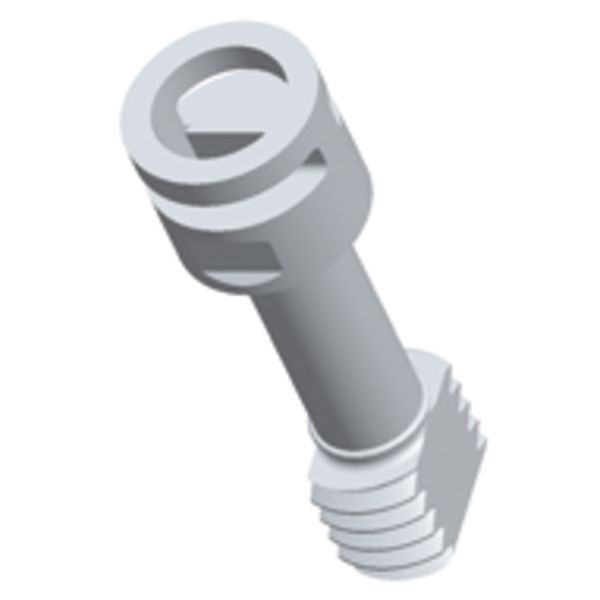 Cover screw TK DS-ku/g image 2