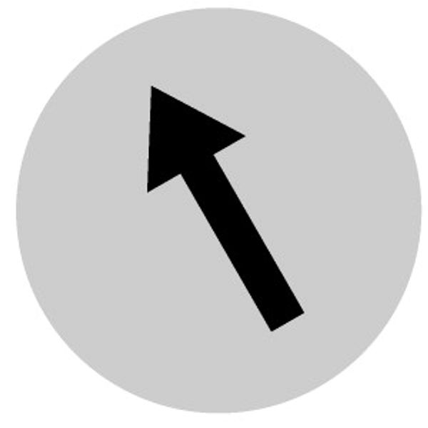 M22-XDLH-W-X8 Button lens, raised white, arrow symbol image 2