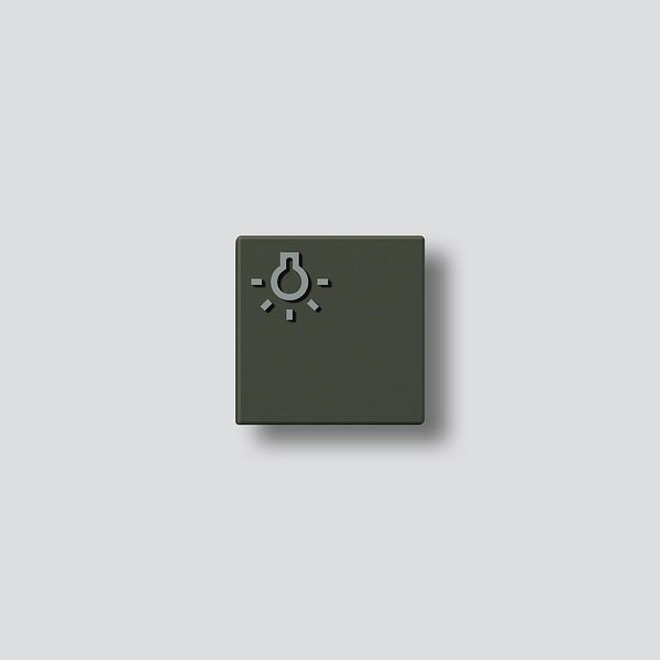TLM 61x-01, BTLM 650-... GM Light button with light symbol image 1