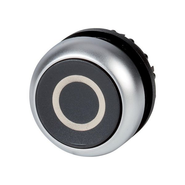 M22-D-S-X0 Pushbutton, RMQ-Titan, Flat, momentary, black, inscribed, Bezel: titanium image 5