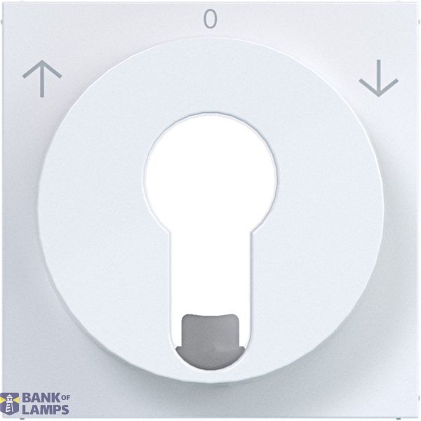 Centr.pl. blind switch/pulse driver DIN-cylinder arrow symbol A.x/C.x white glass image 1