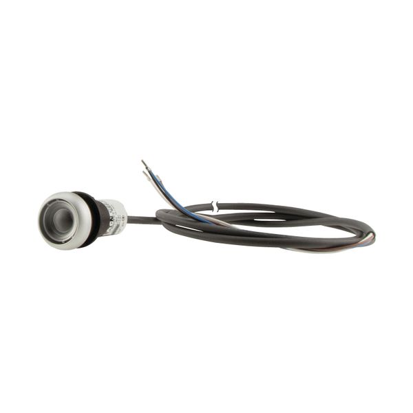 C22-DR-X-K01-P62 Pushbutton, classic, flat, maintained, 1 N/C, cable (black) with non-terminated end, 4 pole, 1 m image 12