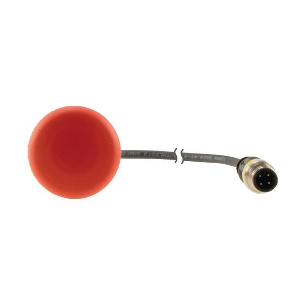 C22-PV-K02-P1 Emergency stop/emergency switching off button, classic, mushroom, 38mm, pull release, 2 N/C, cable (black) with m12a plug, 4p, 0.2m image 7