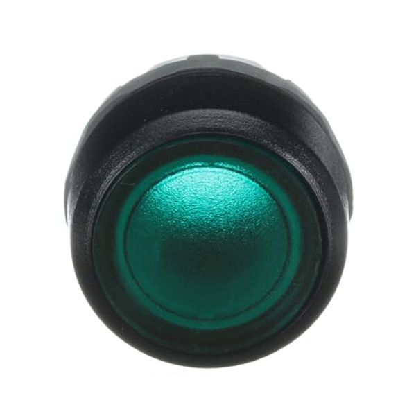 MD01 image 2