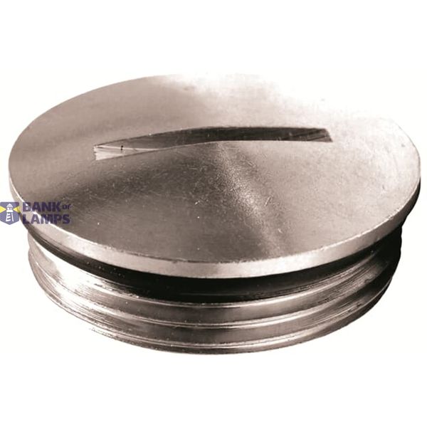 Plug Round Nickel Plated Brass PG29 Raw color image 1
