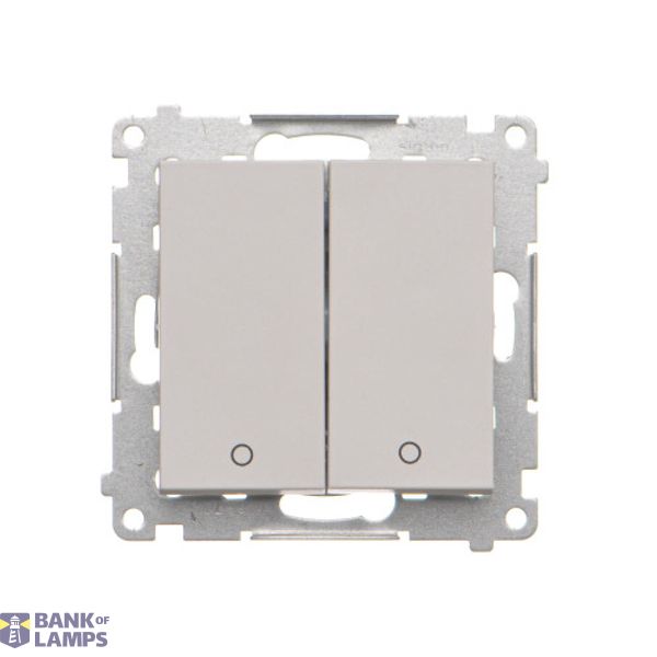 Double 2-pole switch, 16AX, light gray matt image 1