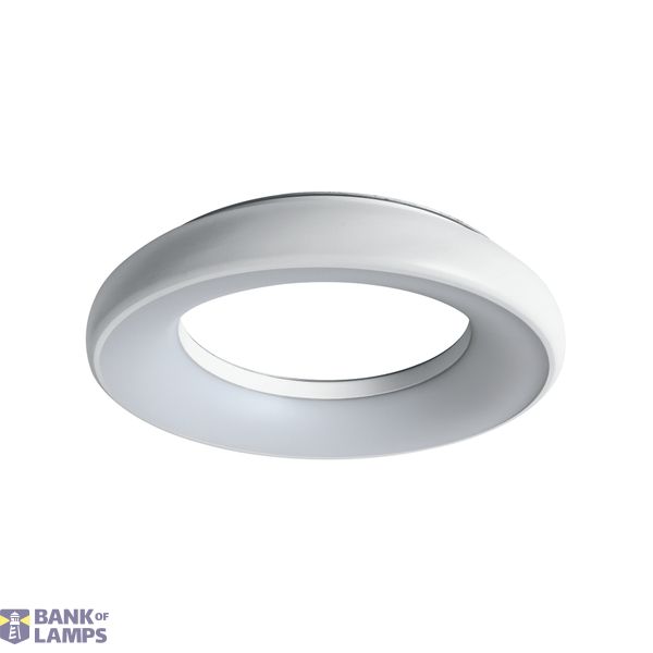 WHITE PLAFO 25W WW IP40 100-240V image 1