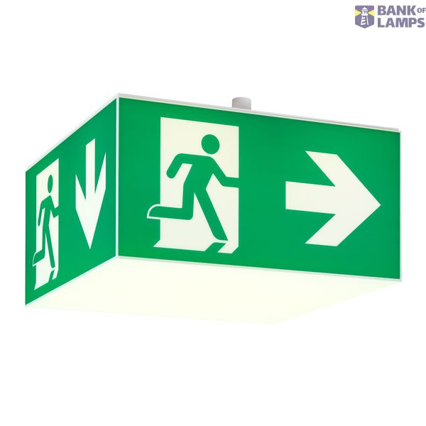 Emergency light WHX WL LED IP65 3h, 230 V AC, ceiling mounting image 1