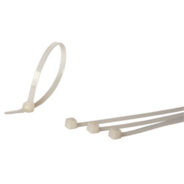 Fichero: bridasblancas.jpg image 1