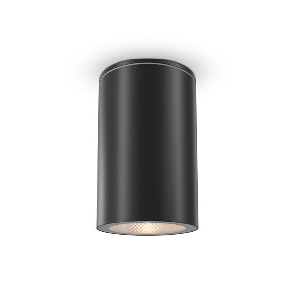 Outdoor Roll Ceiling lamp Black image 1