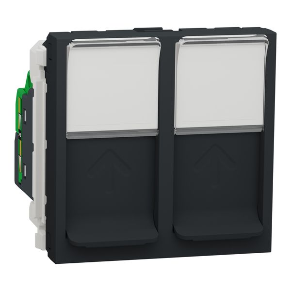 RJ45 DOUBLE CAT5 UTP OUTLET 2MOD image 1