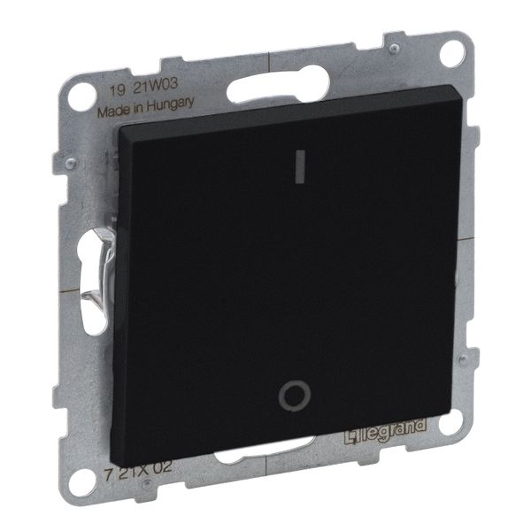 2-POLE SWITCH BLACK image 1