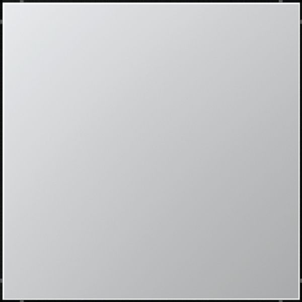 Blank plate AL2994B image 1