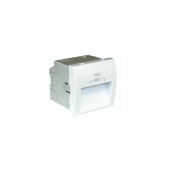 USB DOUBLE CHARGER TYPE A W/20° OUTPUT MW image 1