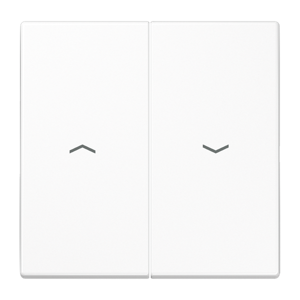 Rocker SPLS995PWW image 1