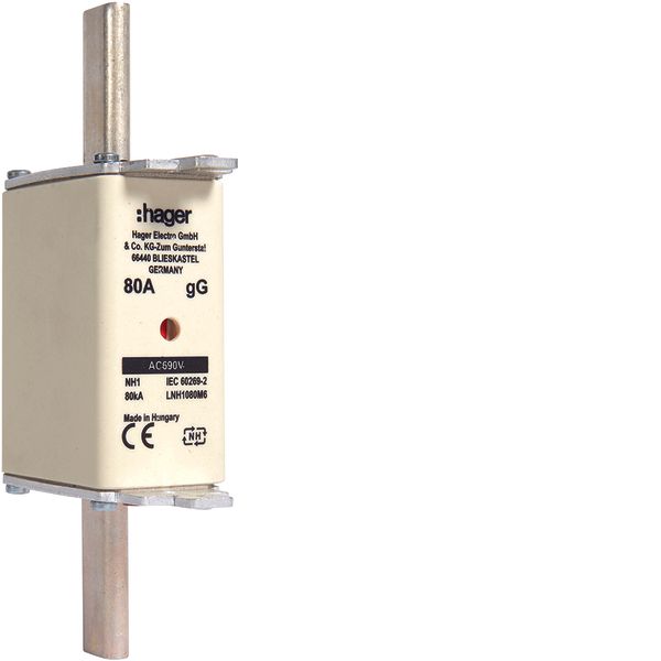 NH fuse NH1 gG 690V 80A with twin indicator and live gripping lug image 1
