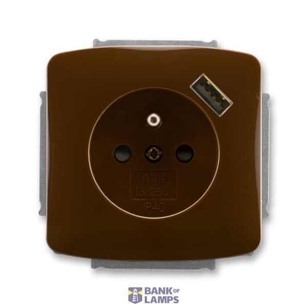 5569A-A02357 H Socket outlet with earthing pin, shuttered, with USB charging image 1