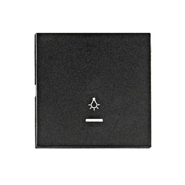 Rocker S 55, tranparent control window, symbol light, black image 1