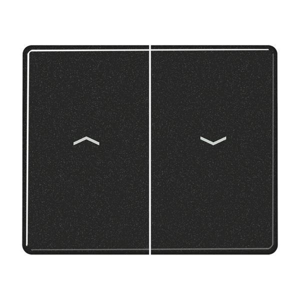 2-gang switch rocker image 2