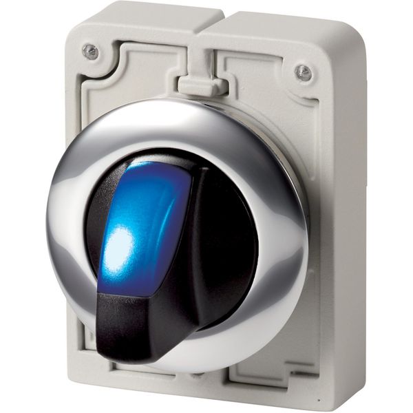 M30C-FWLK-B Illuminated selector switch actuator, RMQ-Titan, With thumb-grip, momentary, 2 positions, Blue, Metal bezel image 4