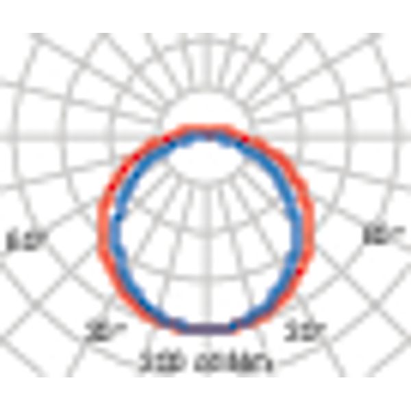 ACRO PRO EQ218PC S/EW 4000K CL PW image 4