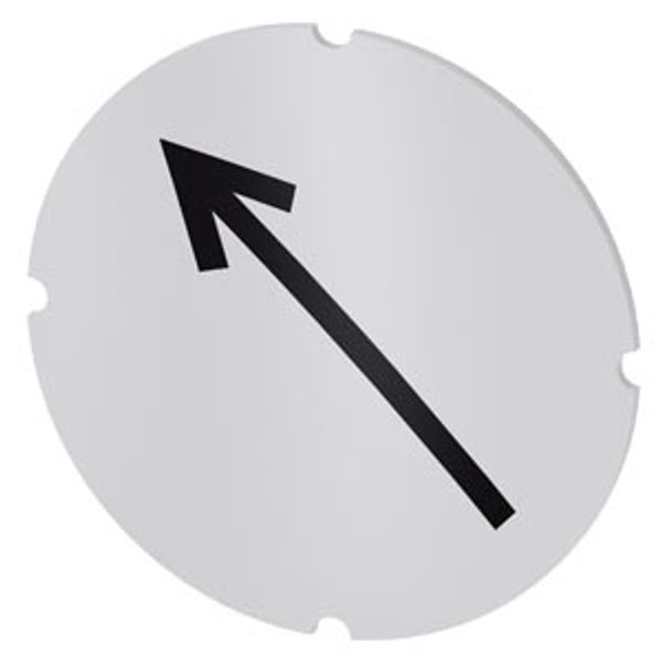 Inscription plate for illuminated pushbutton, round, milky with black font, with graphic symbol: arrow pointing image 1