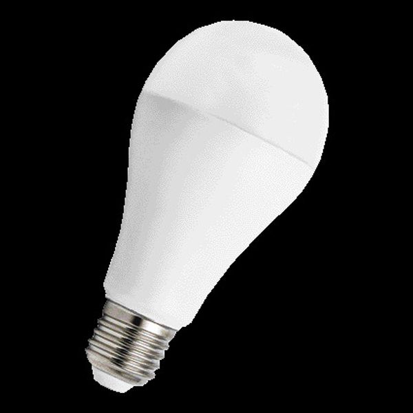 Ecobasic LED A65 E27 240V 20W 4000K Opal image 2