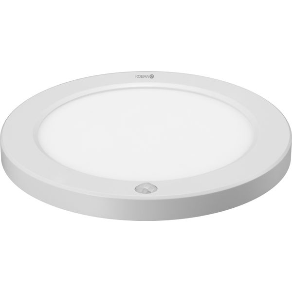 Fichero: KLD11.jpg image 1