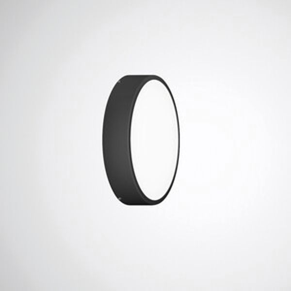 Mechanical accessories Olisq R Black 8269300 image 1