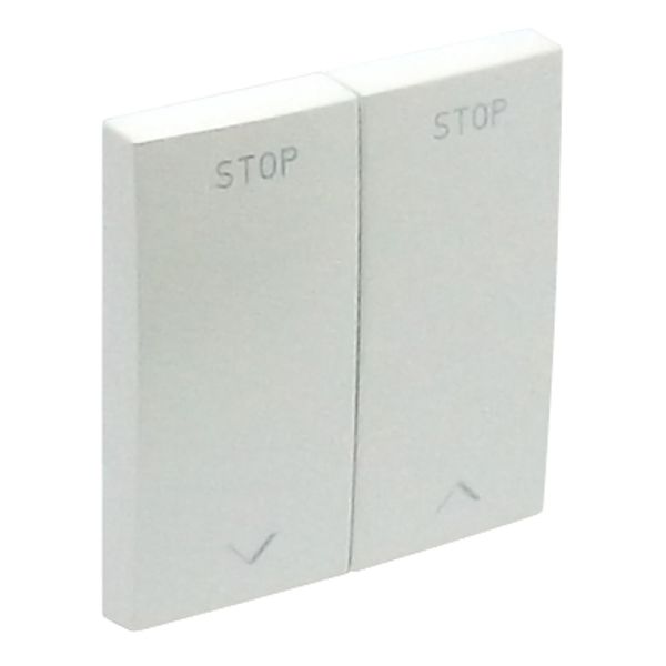 ROCKERS F/VENETIAN SWITCH ICE image 1