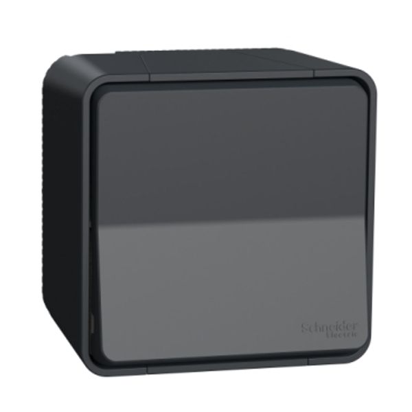 ***MurDY 2-way switch, su  grey image 1