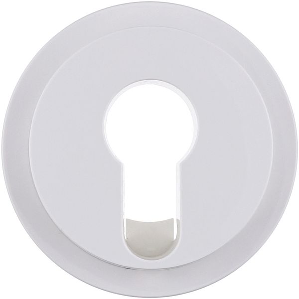 Centre plate for key switches/key push-buttons R.1/R.3, polar white gl image 1