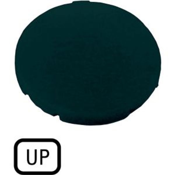 M22-XD-S-GB3 Button plate, flat black, UP image 2