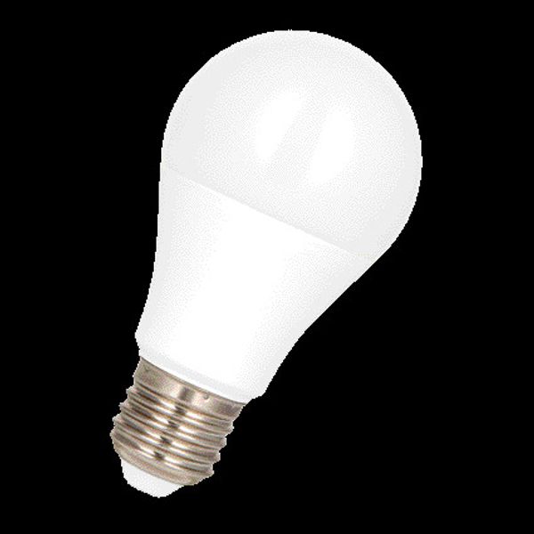 ecobasic LED A60 E27 240V 15W 2700K Opal image 2