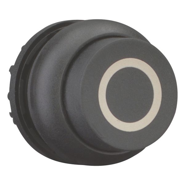 M22S-DRH-S-X0 Pushbutton, RMQ-Titan, Extended, maintained, black, inscribed, Bezel: black image 14