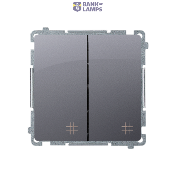 Double intermediate switch, (module), 10AX, quick connection, Silver matt, metalic image 1