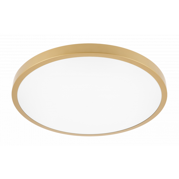 LED luminaire ATOLL, 32 W, 2560 lm, 4000K, AC180-250V, PF>0.9, IP54, Ø400 mm, gold image 1