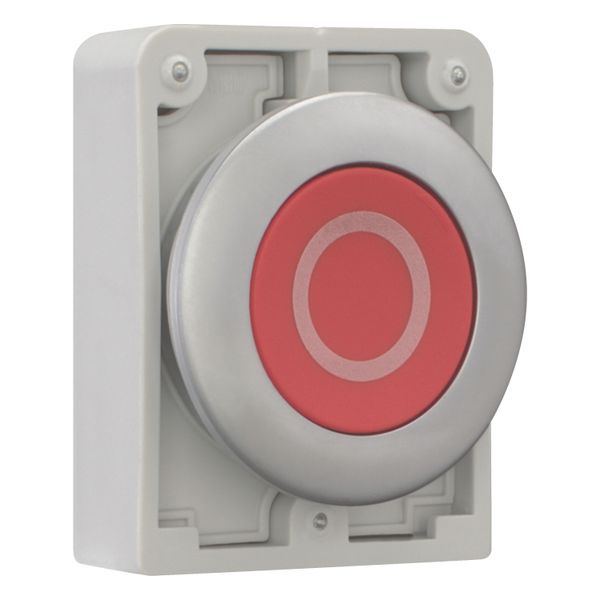 M30C-FD-R-X0 Pushbutton, RMQ-Titan, Flat, momentary, red, inscribed, Metal bezel image 7