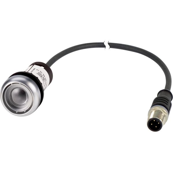 C22-D-X-K10-P1 Pushbutton, Flat, momentary, 1 N/O, Cable (black) with M12A plug, 4 pole, 0.2 m, Without button plate, Bezel: titanium image 4