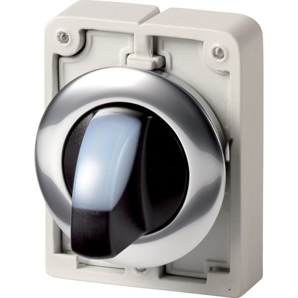 M30C-FWRLK3-W Illuminated selector switch actuator, RMQ-Titan, With thumb-grip, maintained, 3 positions, White, Metal bezel image 2