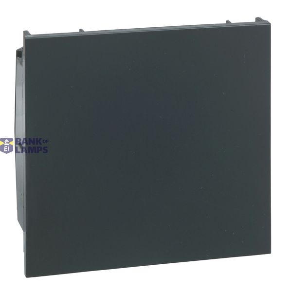 OL50 BLINDPLAAT ANTRACIET image 1