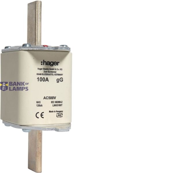 NH Fuse Insert 100A GG, 500VAC LNH3100T image 1