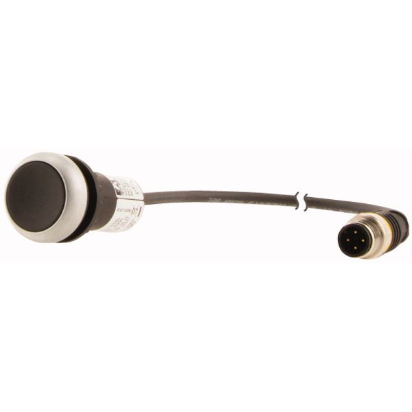 C22-D-S-K01-P5 Pushbutton, Flat, momentary, 1 NC, Cable (black) with M12A plug, 4 pole, 1 m, black, Blank, Bezel: titanium image 3