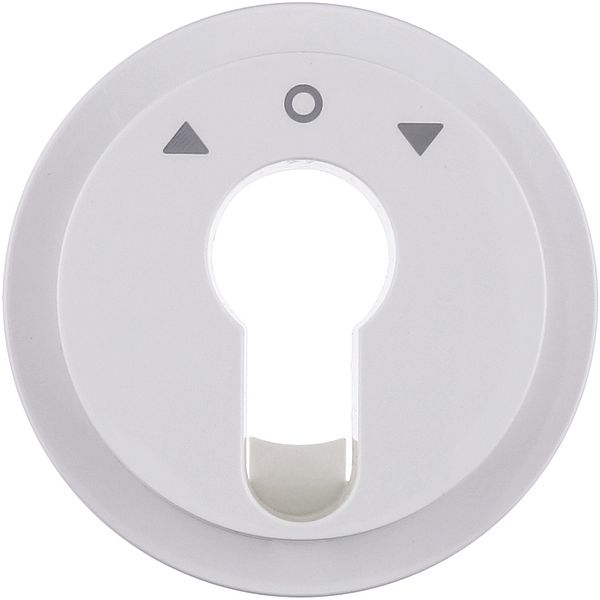 Centre plate f. key push-button f. blinds/key switch, R.1/R.3, polar w image 1