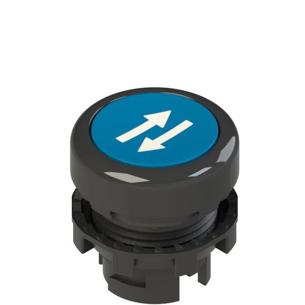 Spring-return blue flush pushbutton with marking image 1